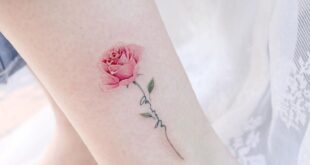 tattoo rose