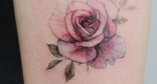 rose tattoo