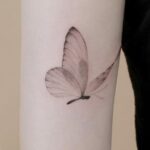 butterfly tattoo