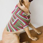 free dog sweater crochet pattern- www.Traveller Location | dog sweaters  | Häkeln, Stricken, Hunde pullover