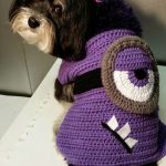 HandlingIt Creations: Evil Minion Crochet Dog Sweater Stricken, Tiere,  Disney Häkeln, Süße