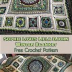 Die 17 besten Bilder von Sophie's Universum | Crochet patterns