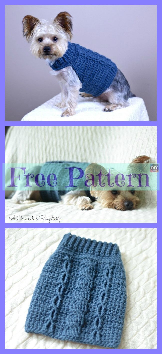 10 Cozy Crocheted Dog Sweater Free Patterns