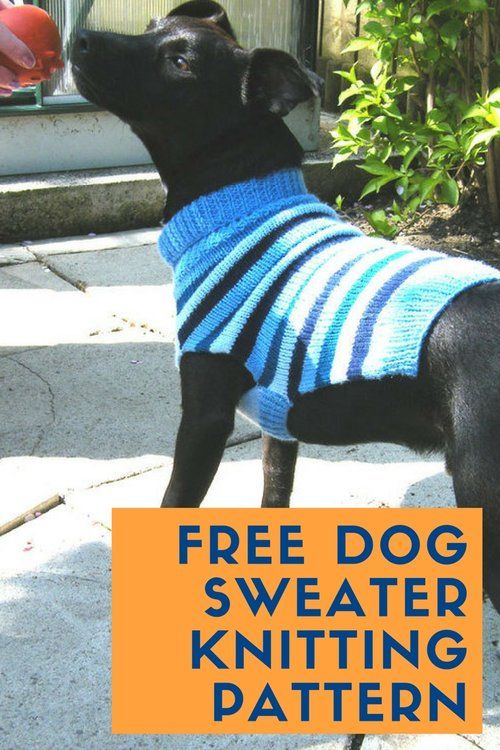 Dog Sweater Pattern