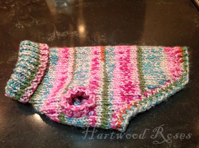 Hartwood Roses: Pattern For Winnie’s Tiny Knitted Dog Sweater