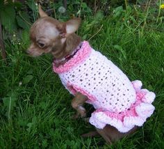 Keep Your Dog Warm With A Crochet Dog Sweater