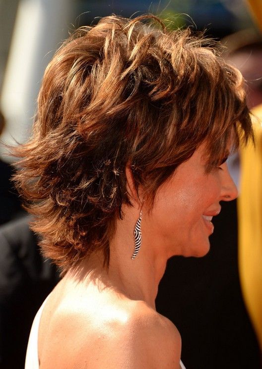 Layered Hairstyle for Thick Hair: Side View of Lisa Rinna's Hairstyle