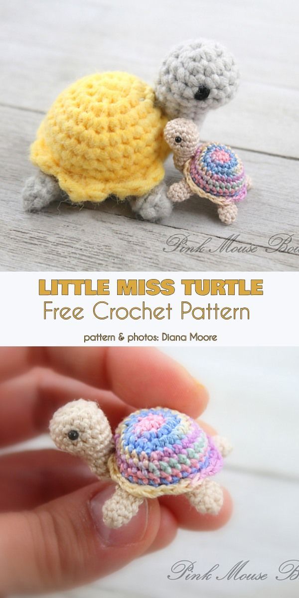 Little-Miss-Turtle-Free-Crochet-Pattern.jpg