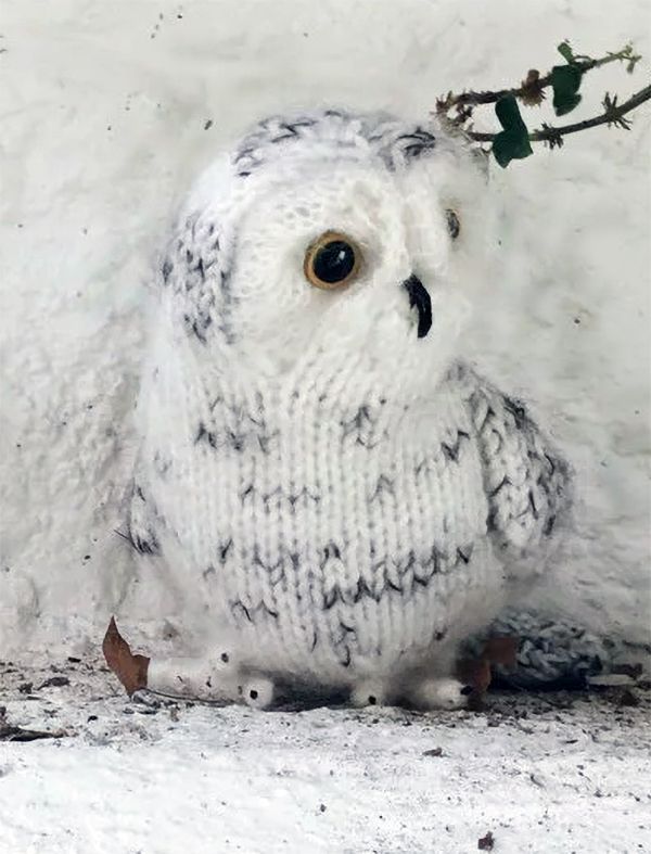 Owl Knitting Patterns