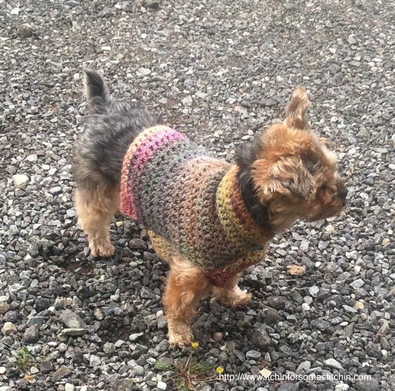 Quick & Easy Small Dog Crochet Sweater Pattern