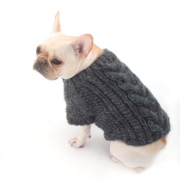Top 5 free dog sweater knitting patterns | LoveCrafts, LoveKnitting's New Home