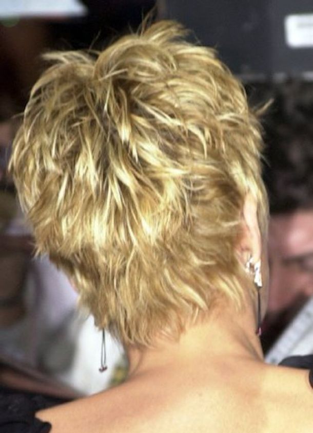 sharon stone short shag from the back | ... sharon stone showing back of hair | ...